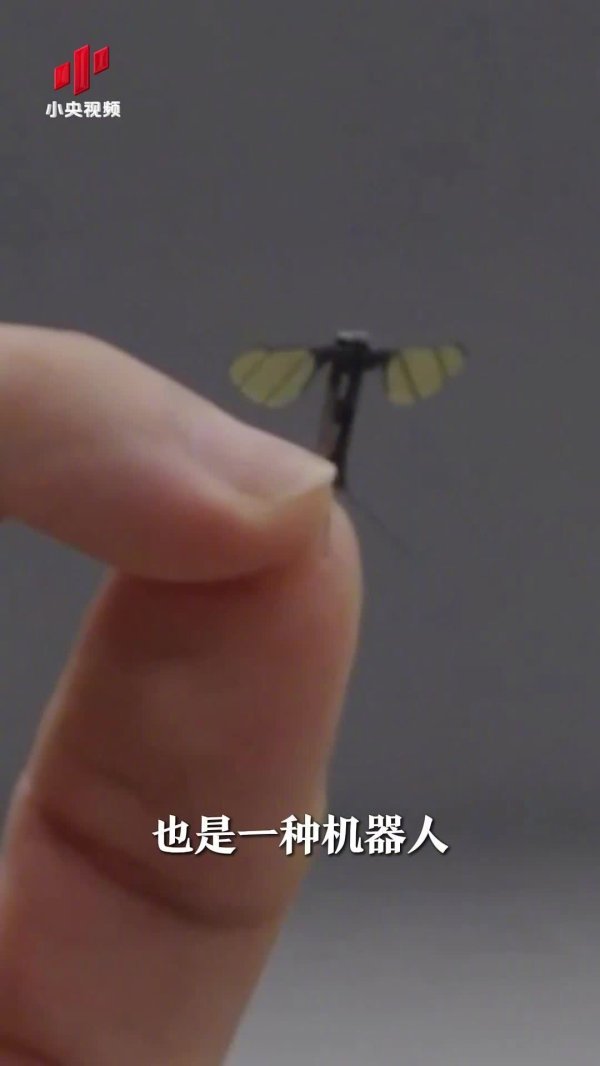 胜亿配资 中国“蚊子”机器人横空出世，悄无声息潜入侦察
