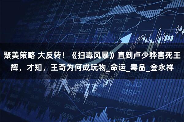 聚美策略 大反转!《扫毒风暴》直到卢少骅害死王辉,才知,王奇为何成玩物_命运_毒品_金永祥