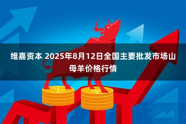 维嘉资本 2025年8月12日全国主要批发市场山母羊价格行情